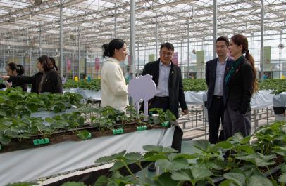 �ʰ���վ�������ջݽ�������� �ʴ�����������֧��ȫ�������������