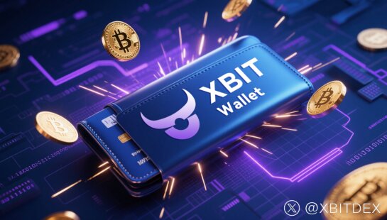 ȶǮƽ̨XBIT WalletͨȫWeb3ӱ