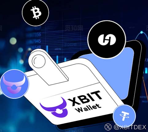 ũݻ XBIT WalletʲǮЧ