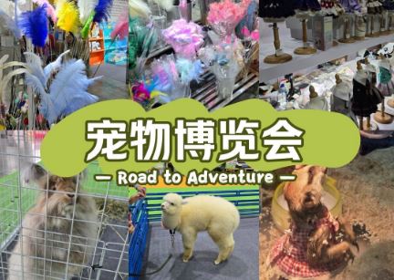 2026������̫ԭ���ʳ����ҵ�����Ὣ������Щ��Ʒ�뱬�